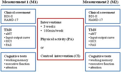 Physical Activity Reduces Clinical Symptoms and Restores Neuroplasticity in Major Depression